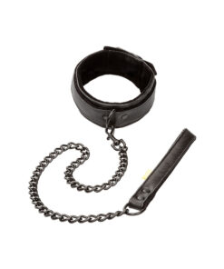 Boundless Collar and Leash