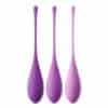 Fantasy For Her Kegel TrainHer Set