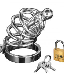 Master Series Asylum 4 Ring Locking Chastity Cage
