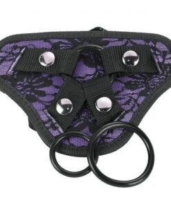 Me You Us Lace Harness With Bullet Pocket