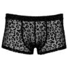 Noir Sheer Animal Print Pants