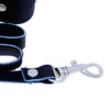 SportSheets Leather Leash And Collar