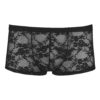 Svenjoyment Lacey Boxer Briefs