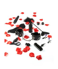 ToyJoy Amazing Pleasure Sex Toy Kit