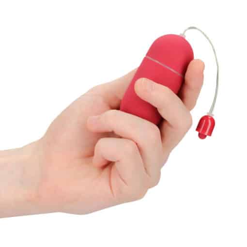 Vibrating Egg 10 Speed Red